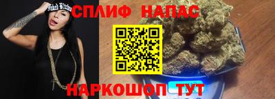 гидра Камень-на-Оби