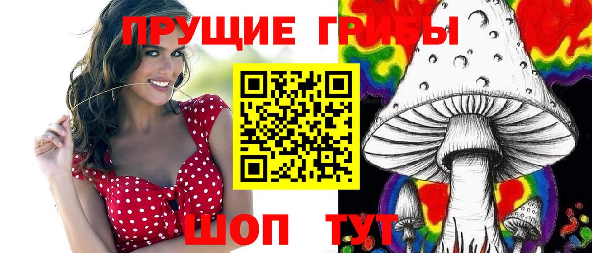 Псилоцибиновые грибы GOLDEN TEACHER  как найти закладки  Барнаул  Вход с VPN  Псилоцибиновые грибы Psilocybe 